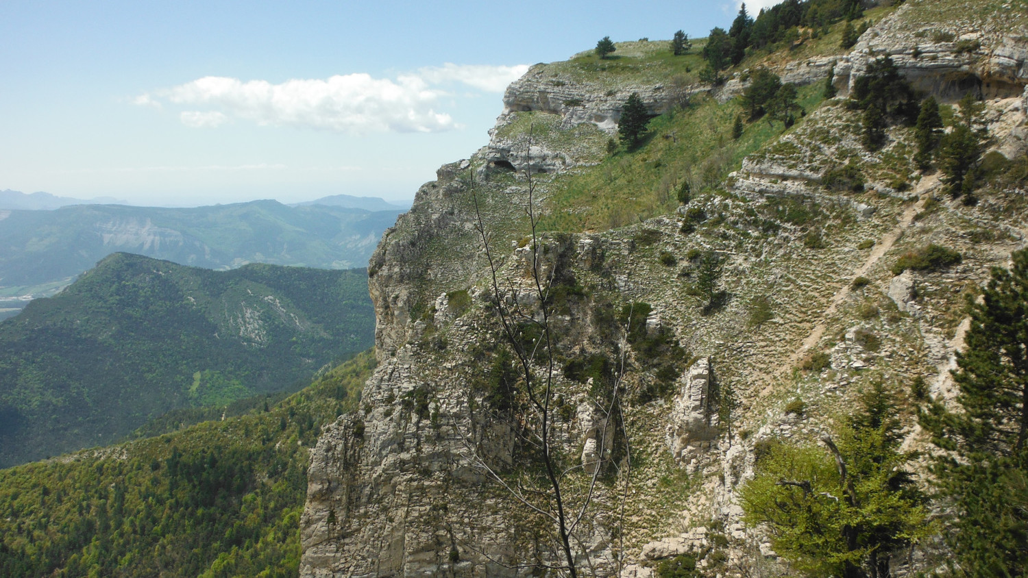 pas du renard