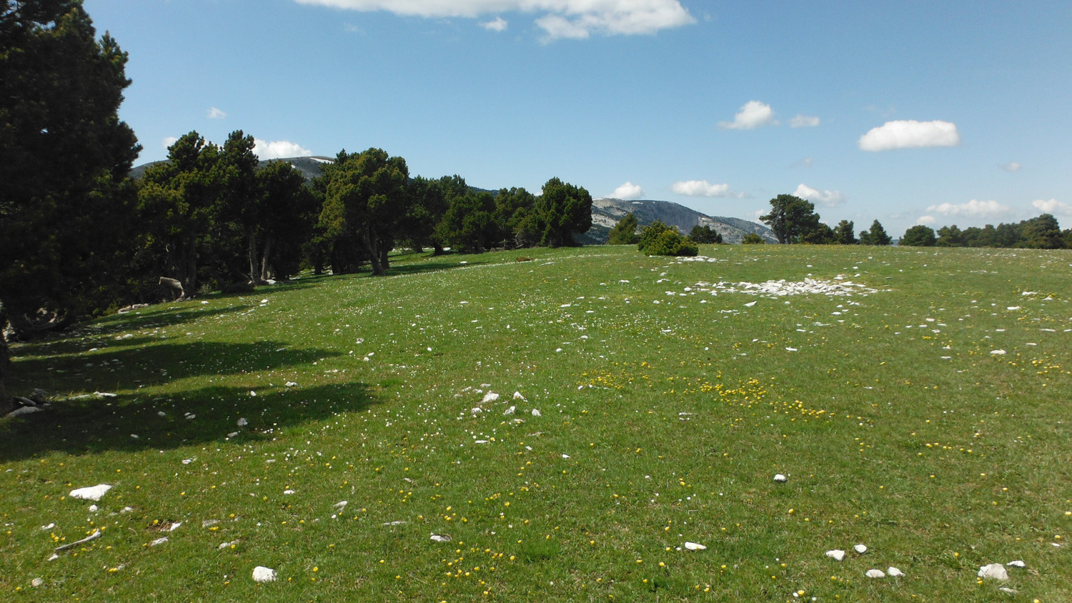 plateau