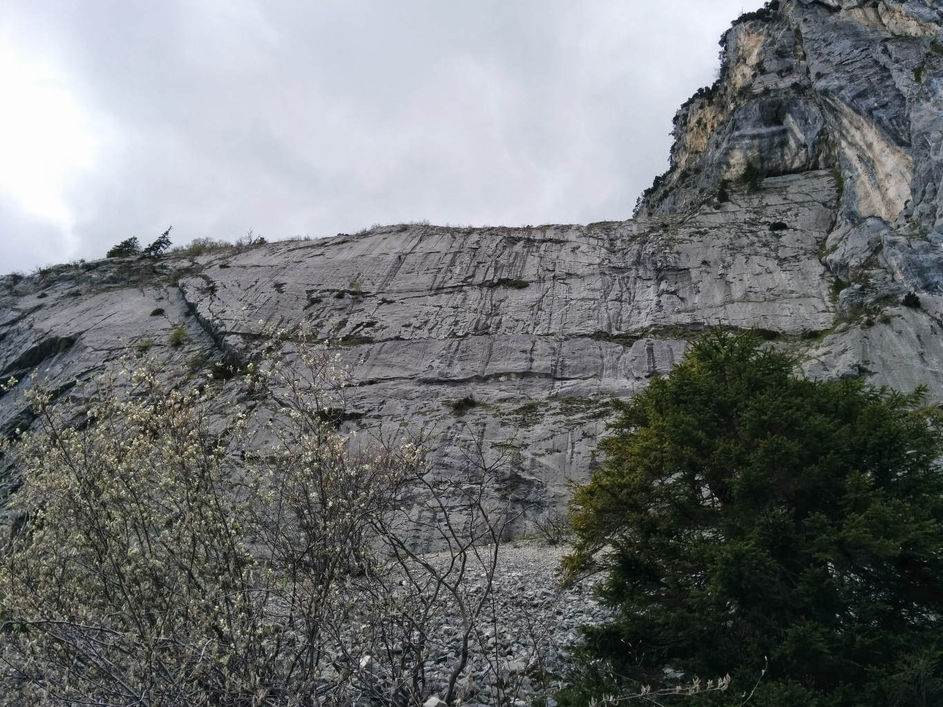 Dalle de la Rosière