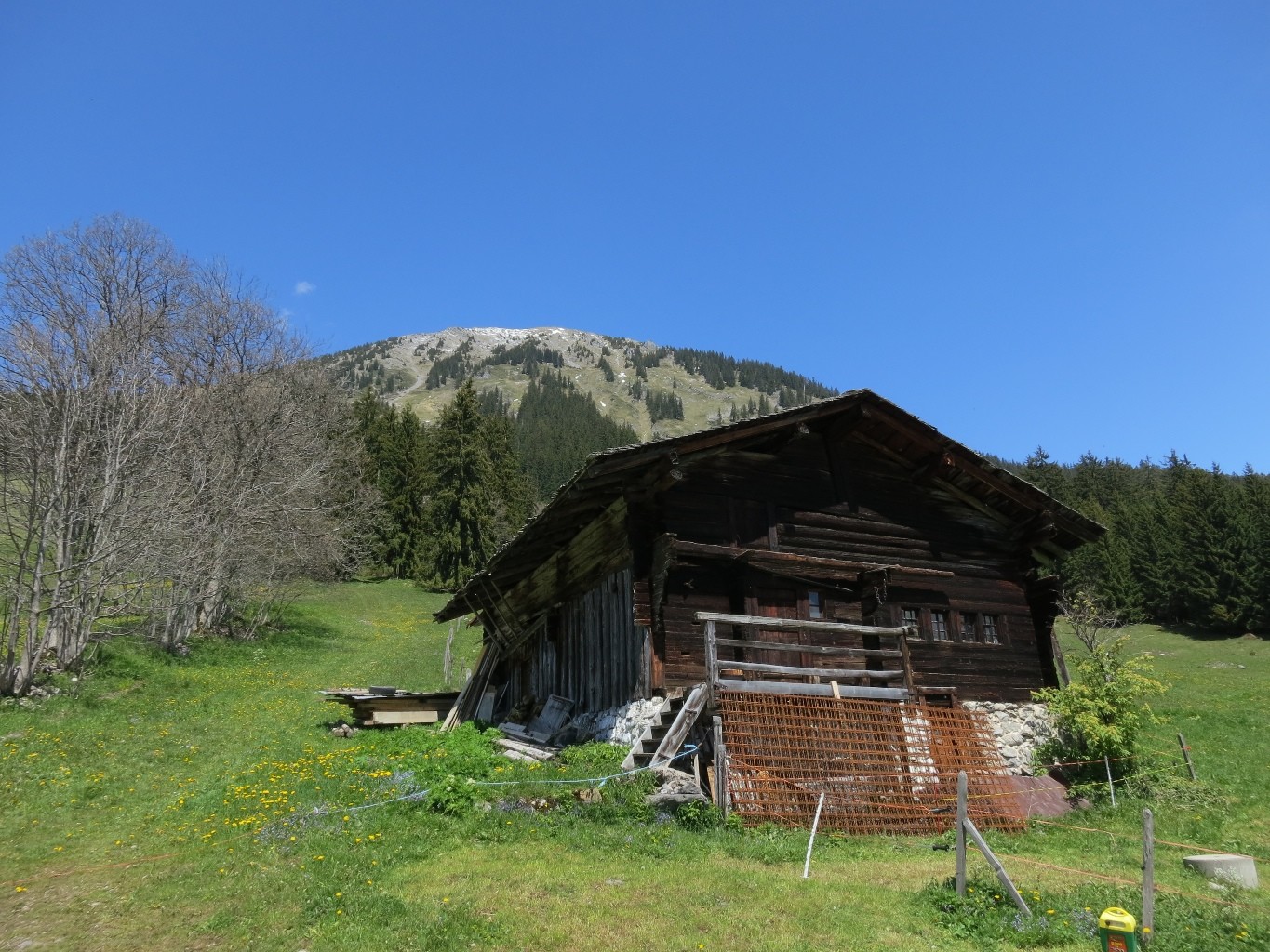 Le Mont d'Or