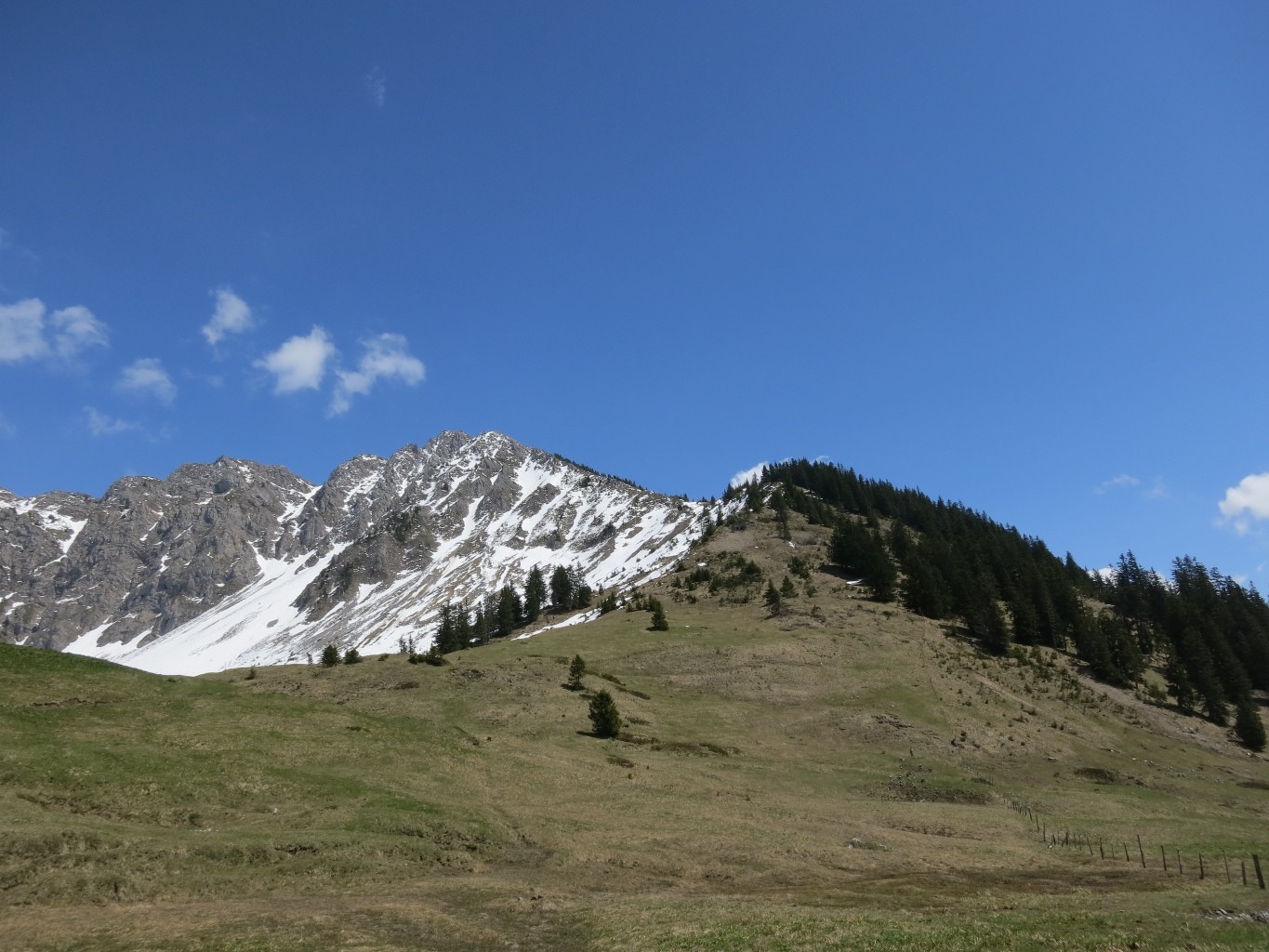 début de l'arête W du Mont d'Or