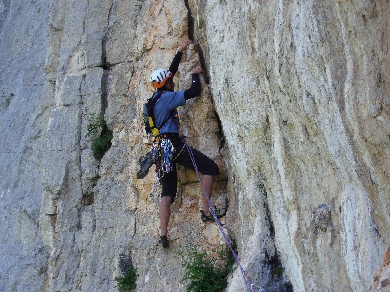 Michel dans L4 (Pastrou)