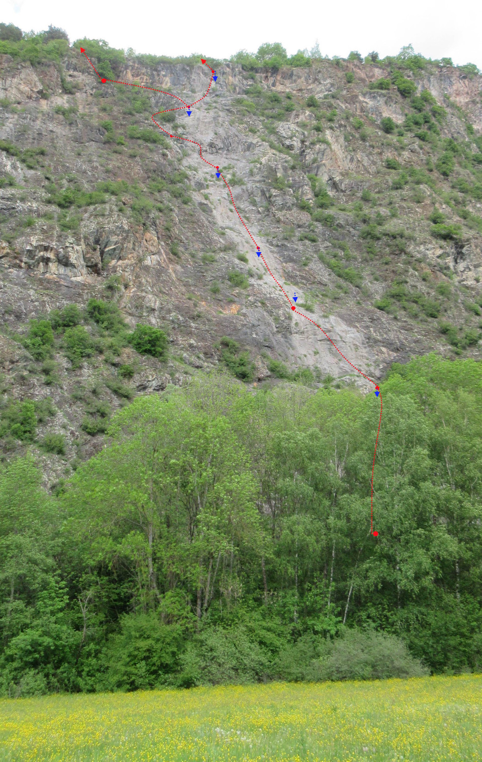 traverser le champ, un peu de foret