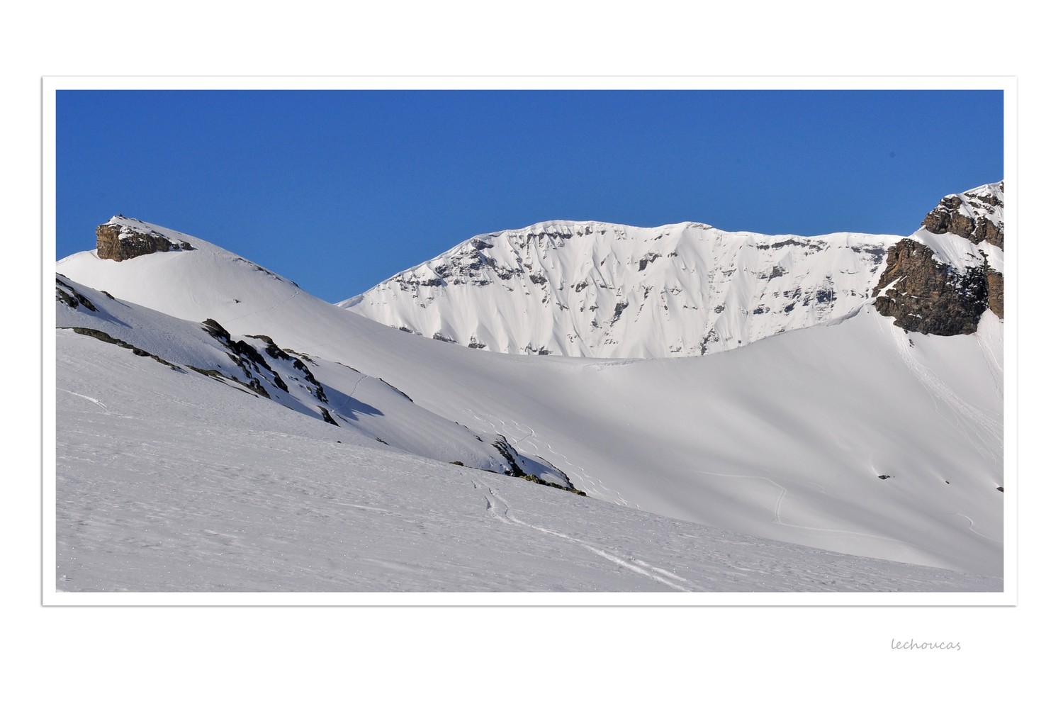 les corbeaux font la tête
