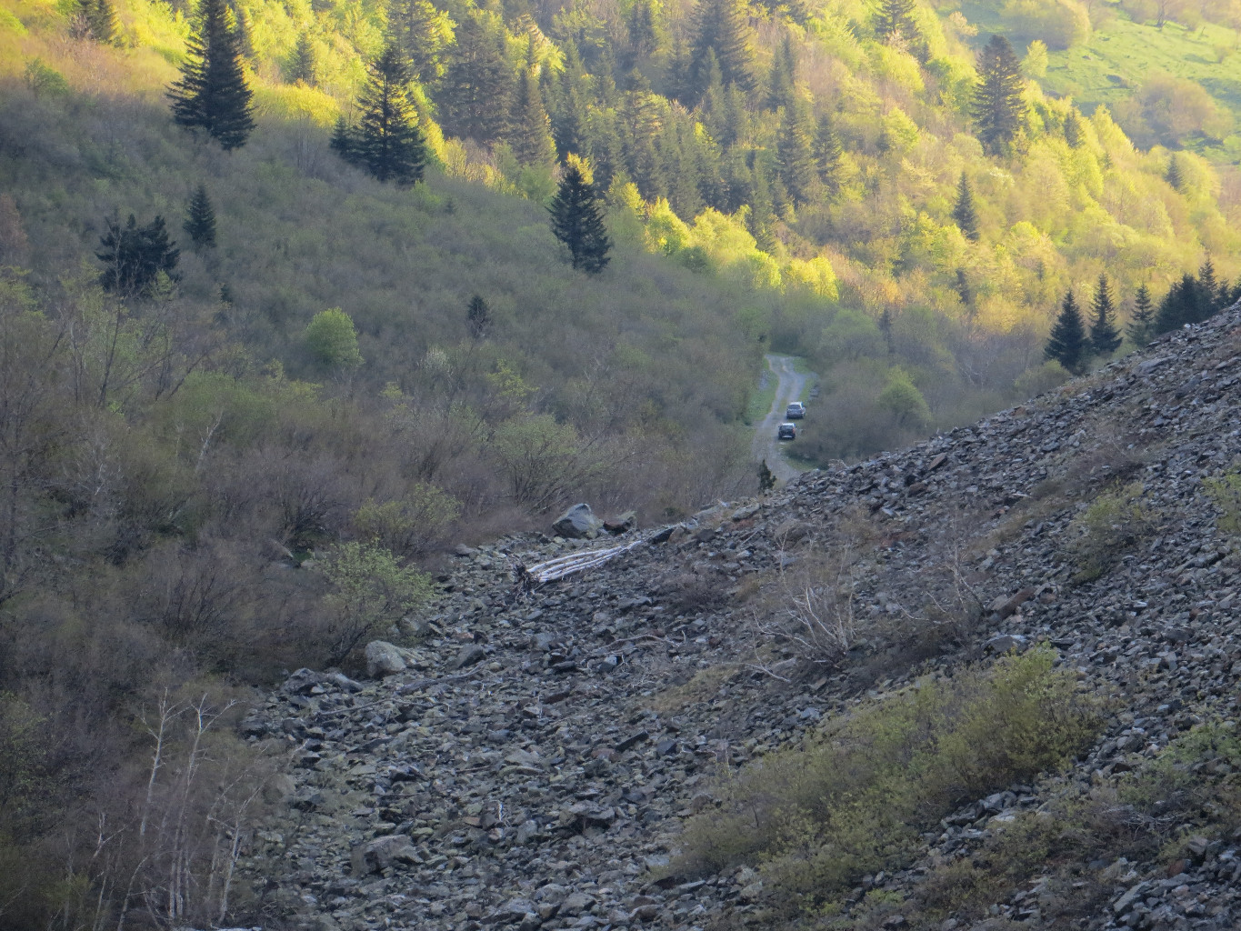 Pierrier du matin
