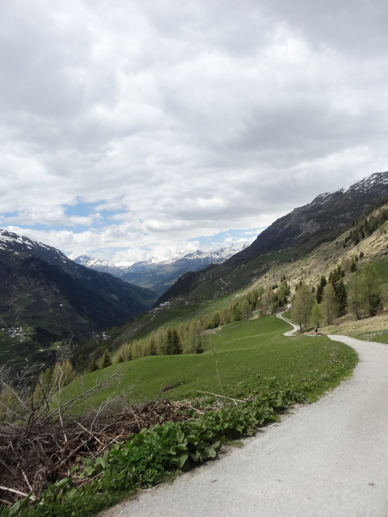 Sassière descente vers 1800m