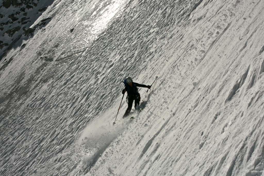 ellis in action
