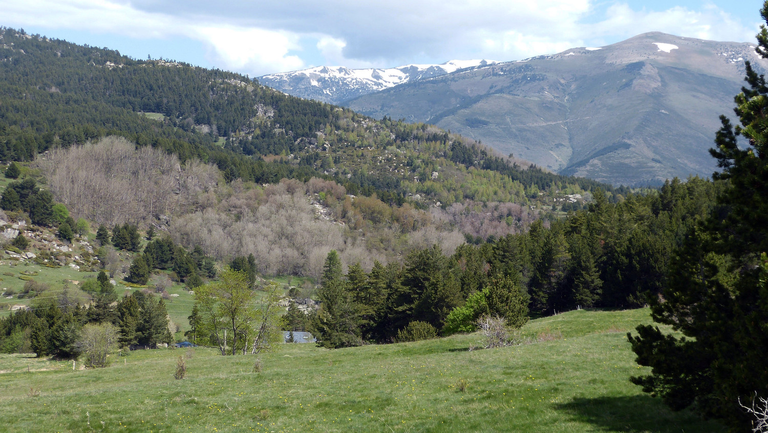La Pelade, les Madres