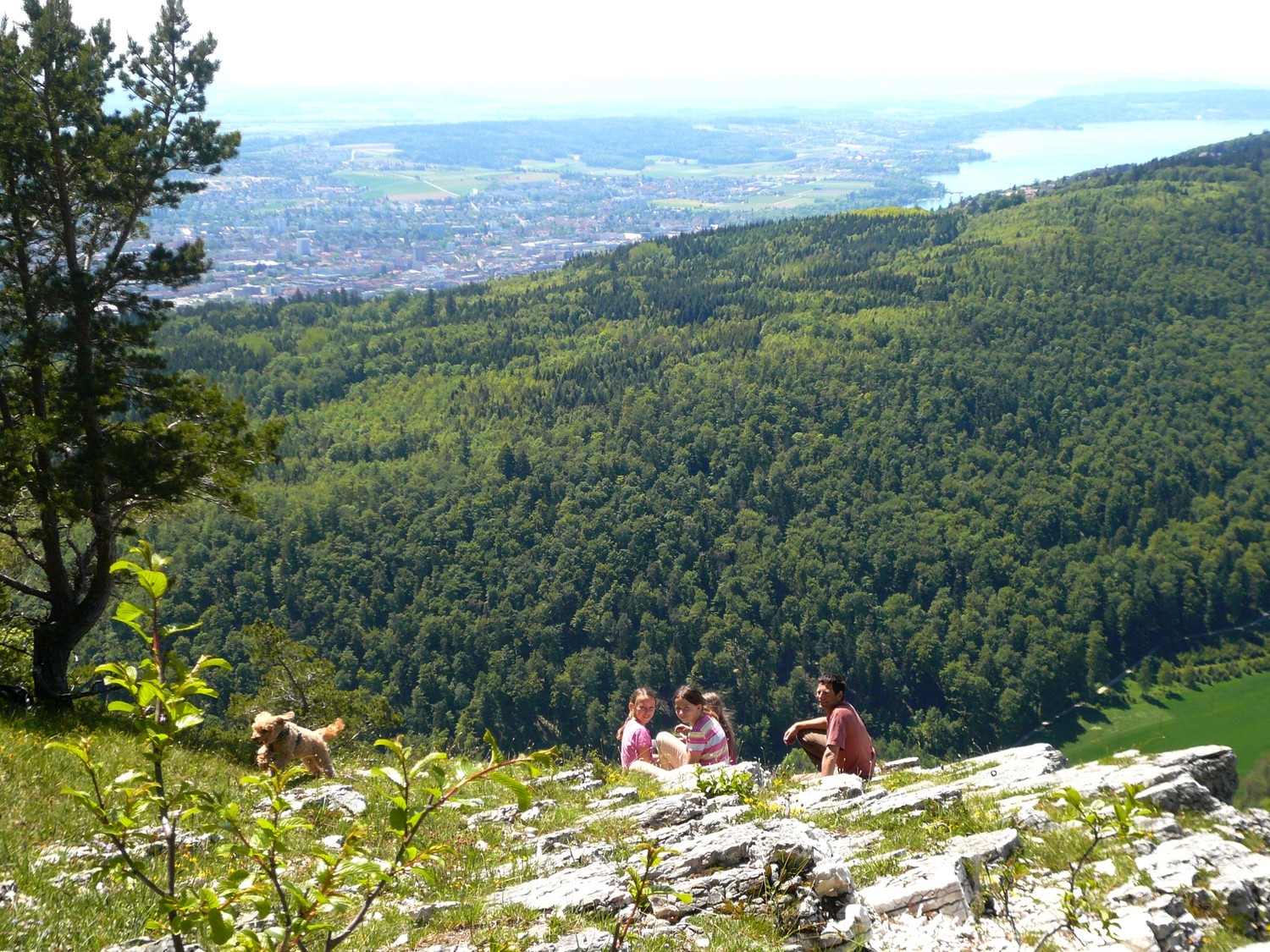 Lac de Bienne vu du Pt 912