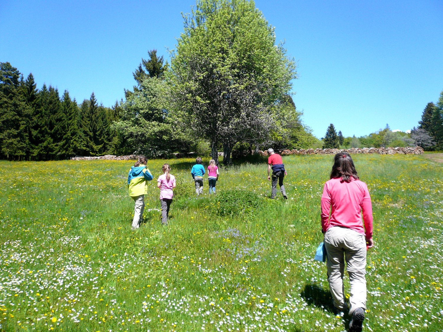 Geocache dans les prairies jurassiennes