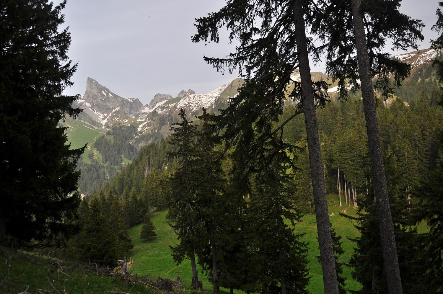 fenêtre sur Dent d'Oche