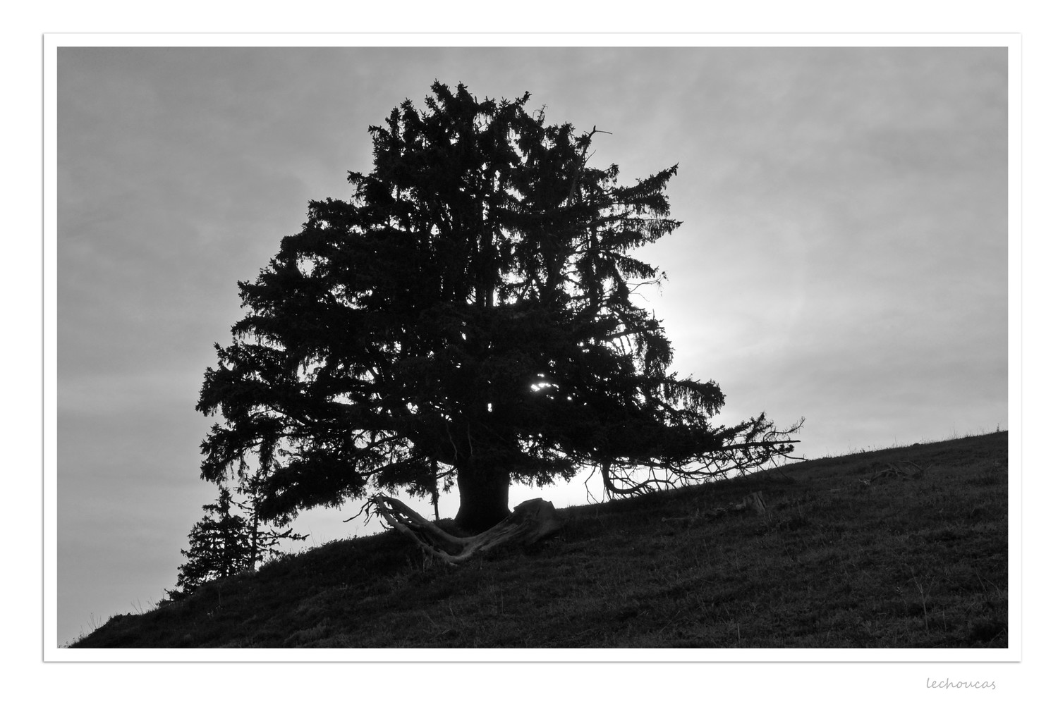 autre solitaire