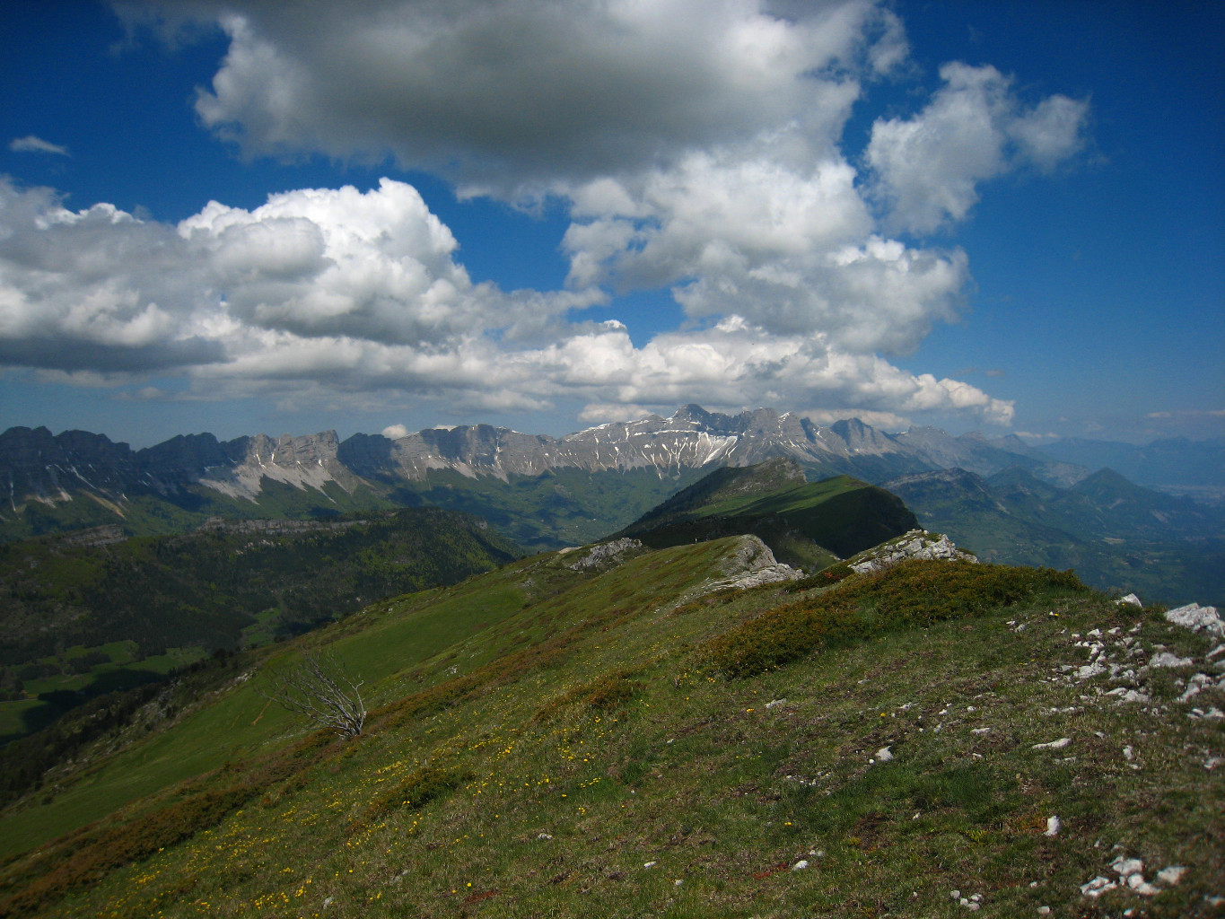 Crêtes du Rocher du Baconnet sur fond de Vercors