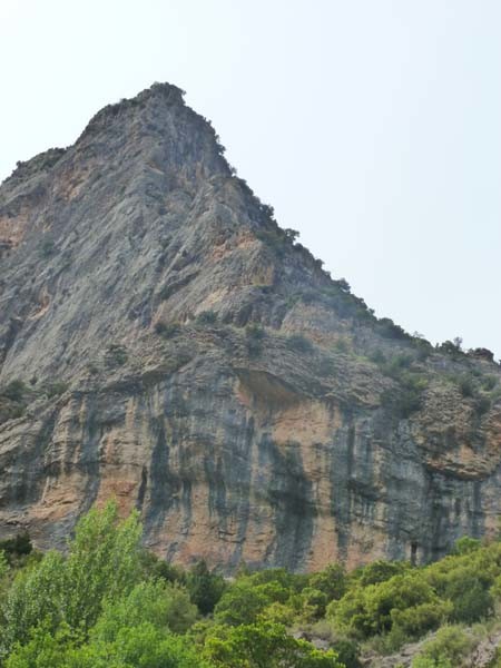 Roca Régina