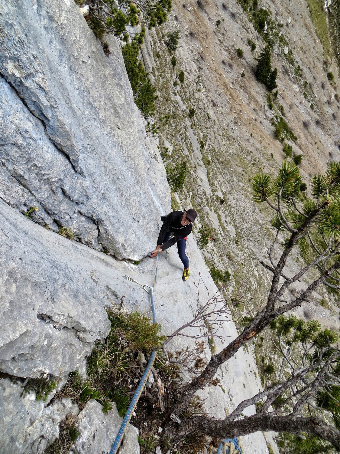 Sortie de L2 de Madame Bovin Rit