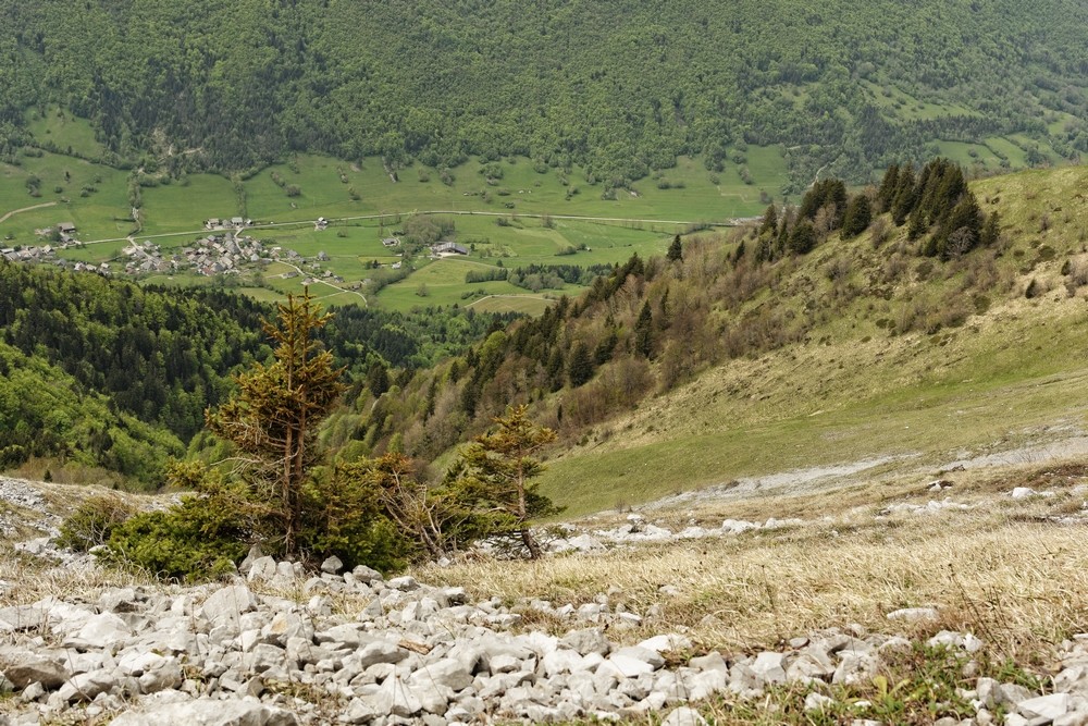 Sous la Dent d'Arclusaz