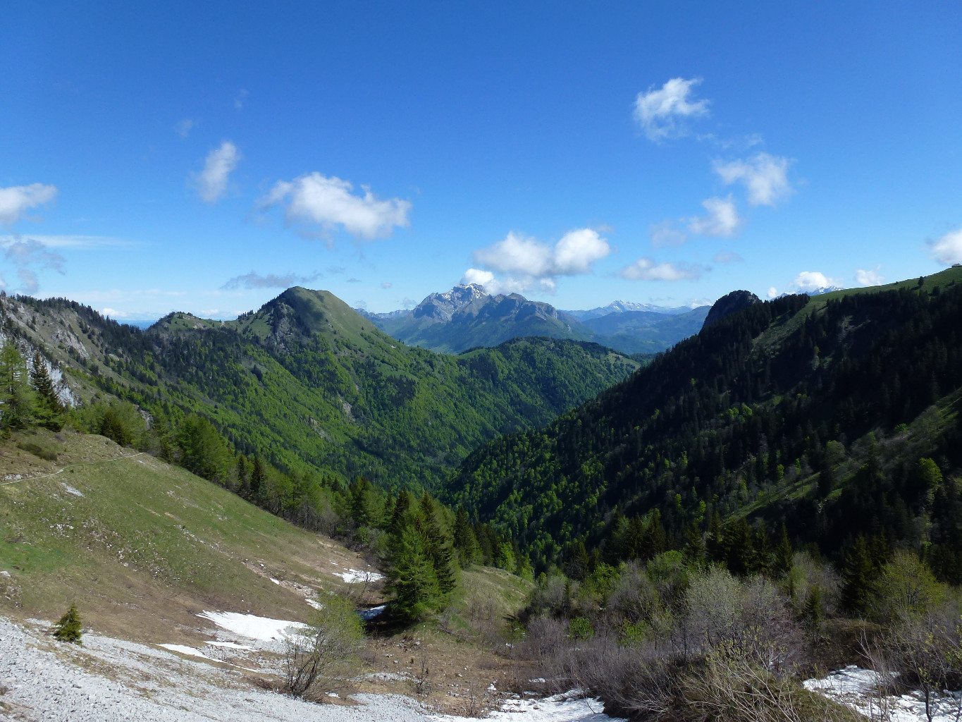 Pte de Vélan (sommet herbeux) et Tournette