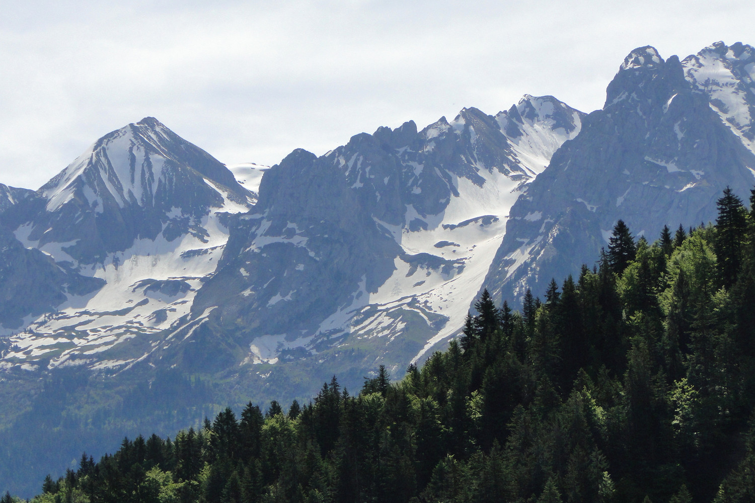 Tardevant au Paré de Joux