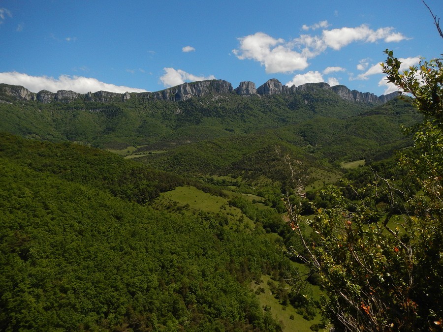 Vue du haut de la voie