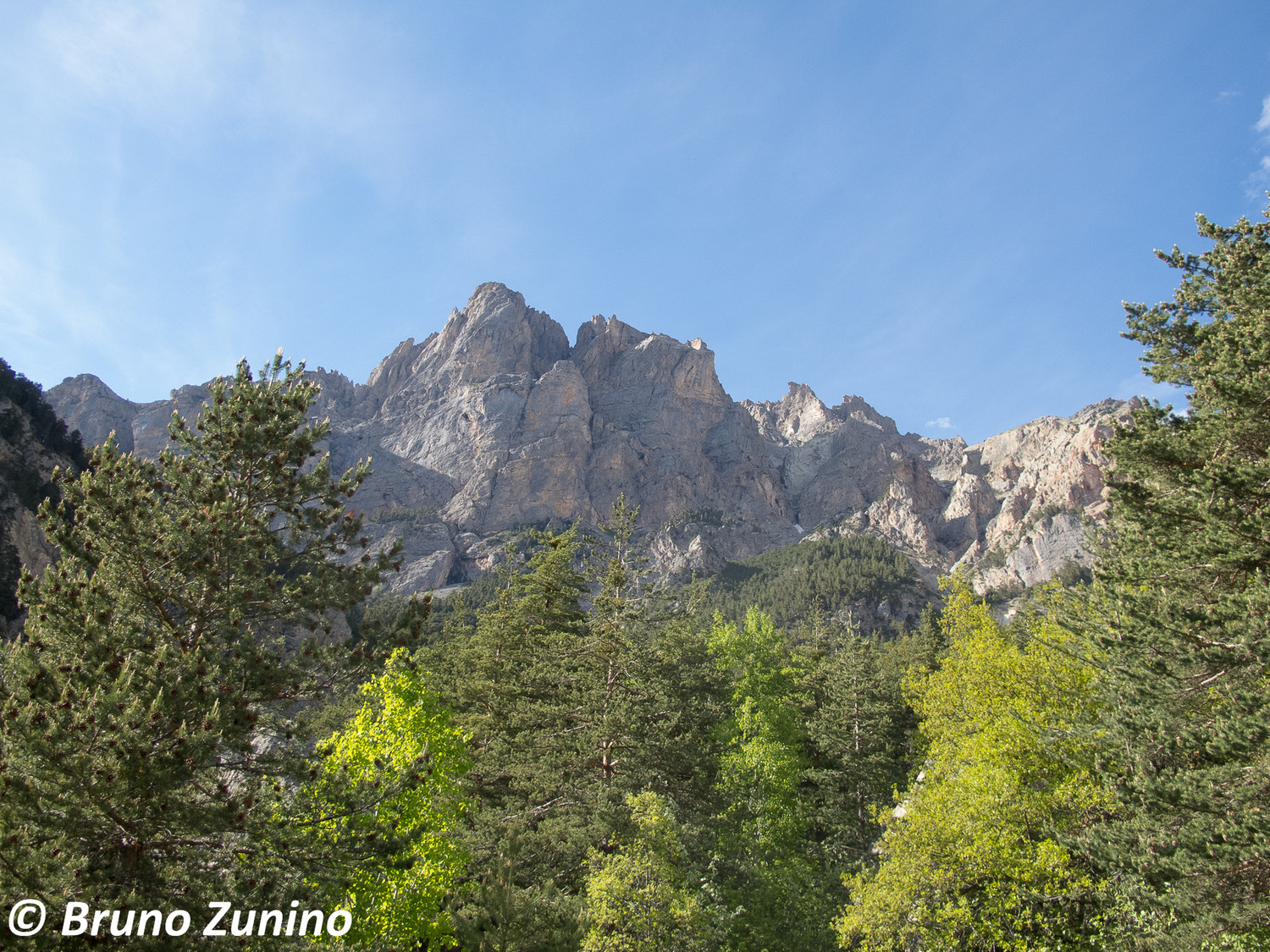 La tête d'Aval de Montbrison