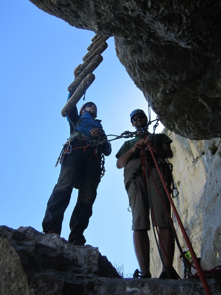 L'échelle de buis