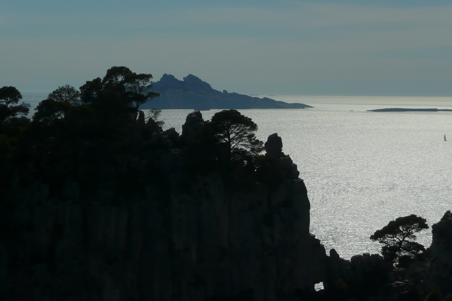 Le Calanques non solo roccia