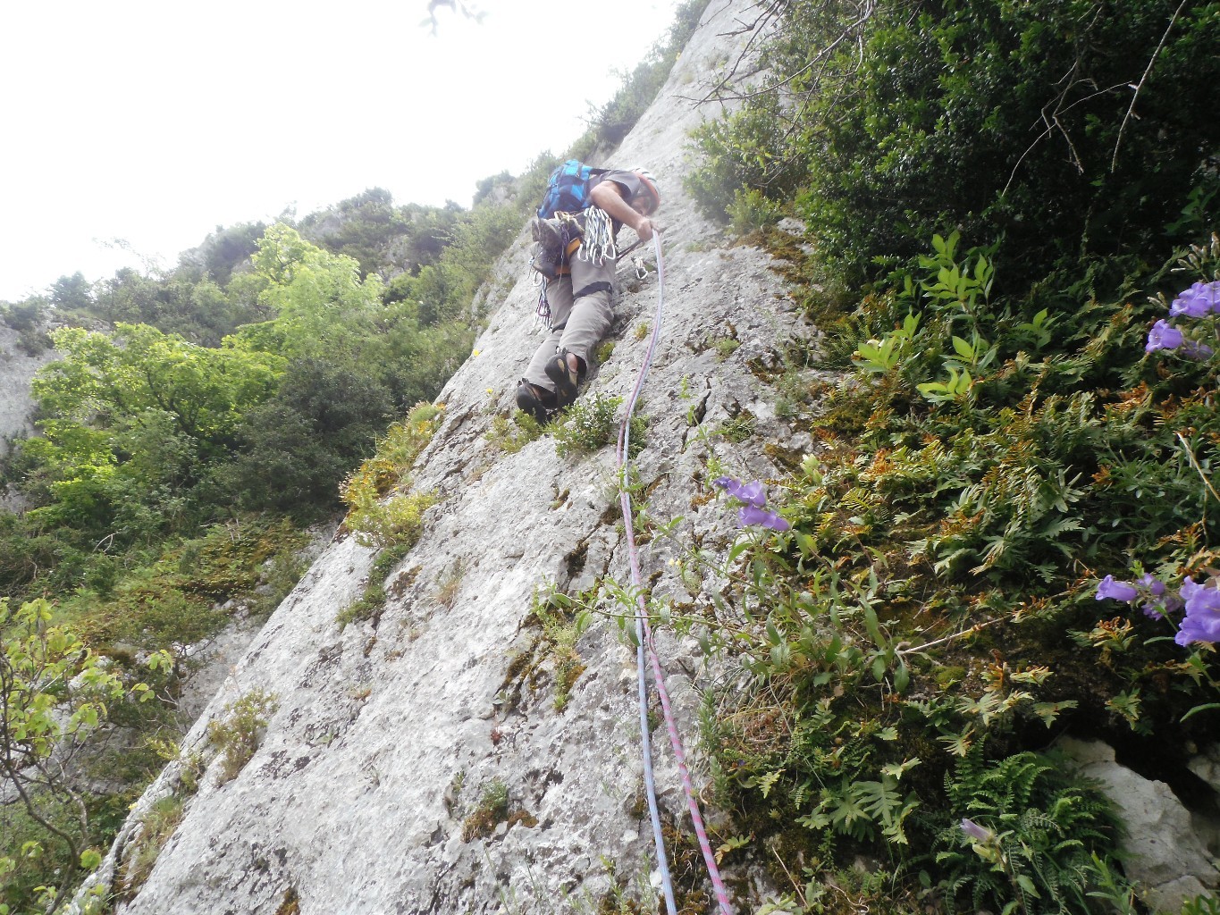 Folie du Zou, L4