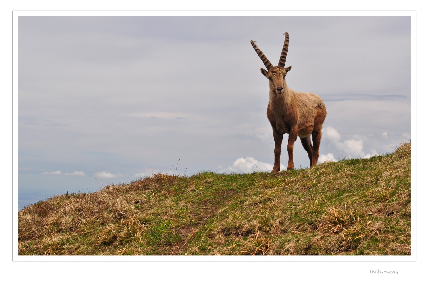 rencontre