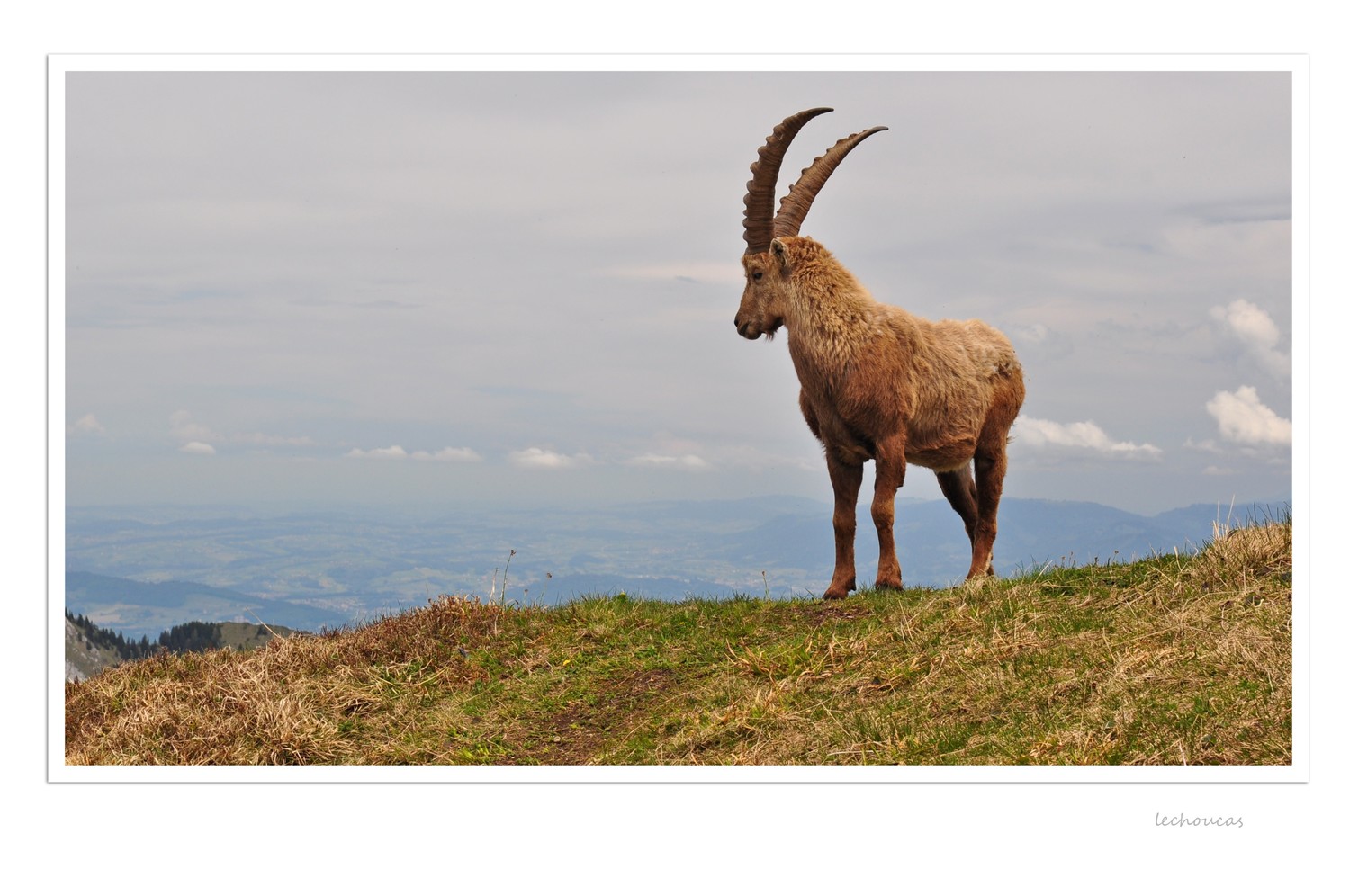 rencontre *