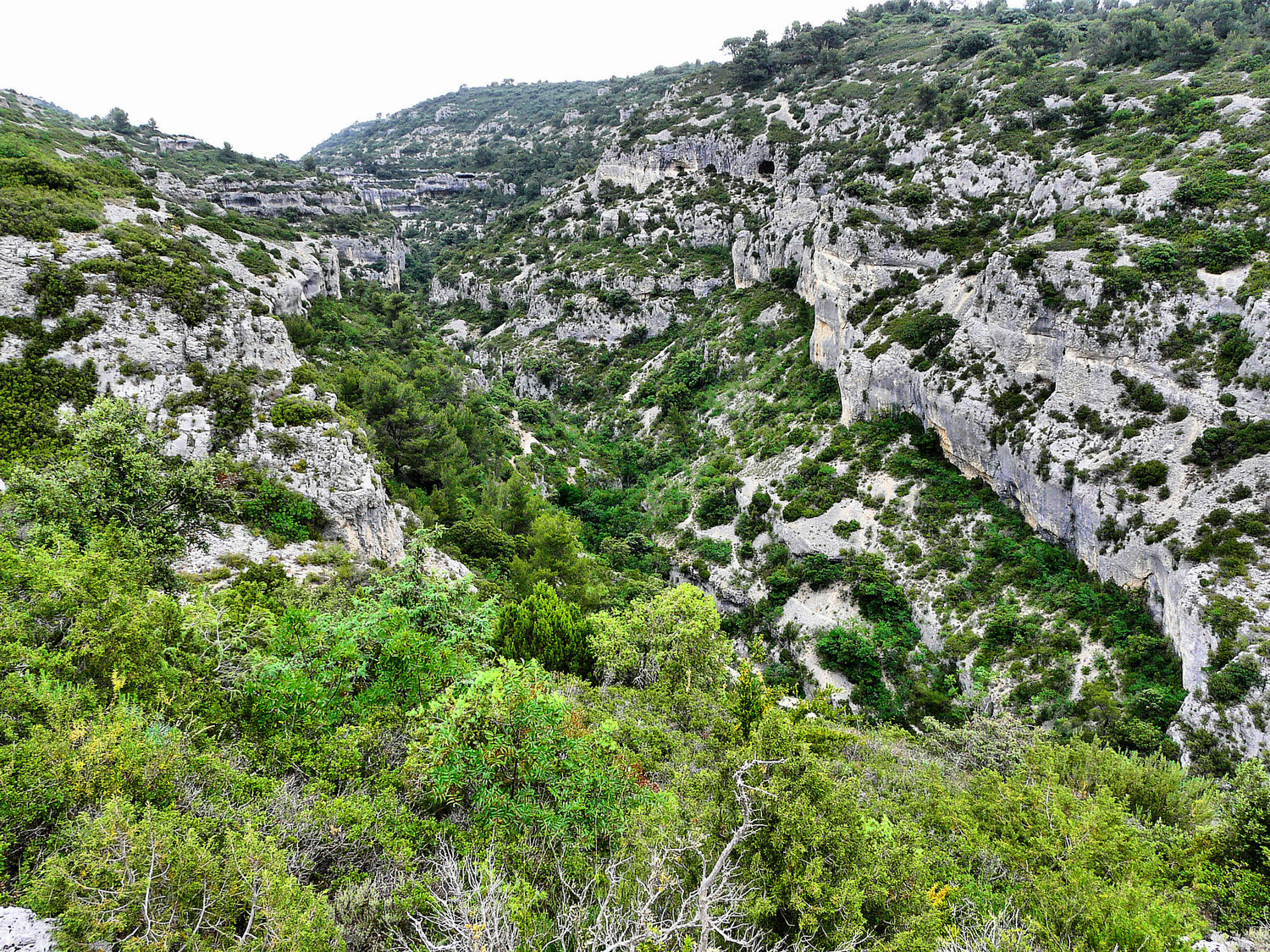 Gorges de la Véroncle