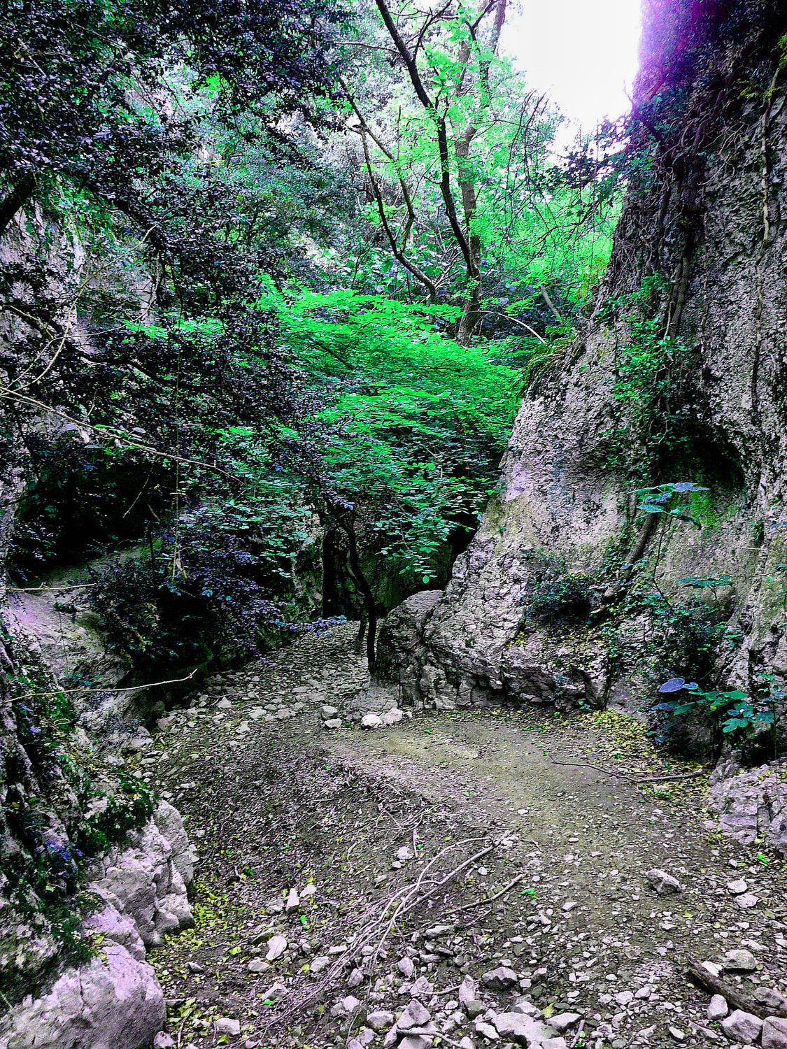 Gorges de la Véroncle
