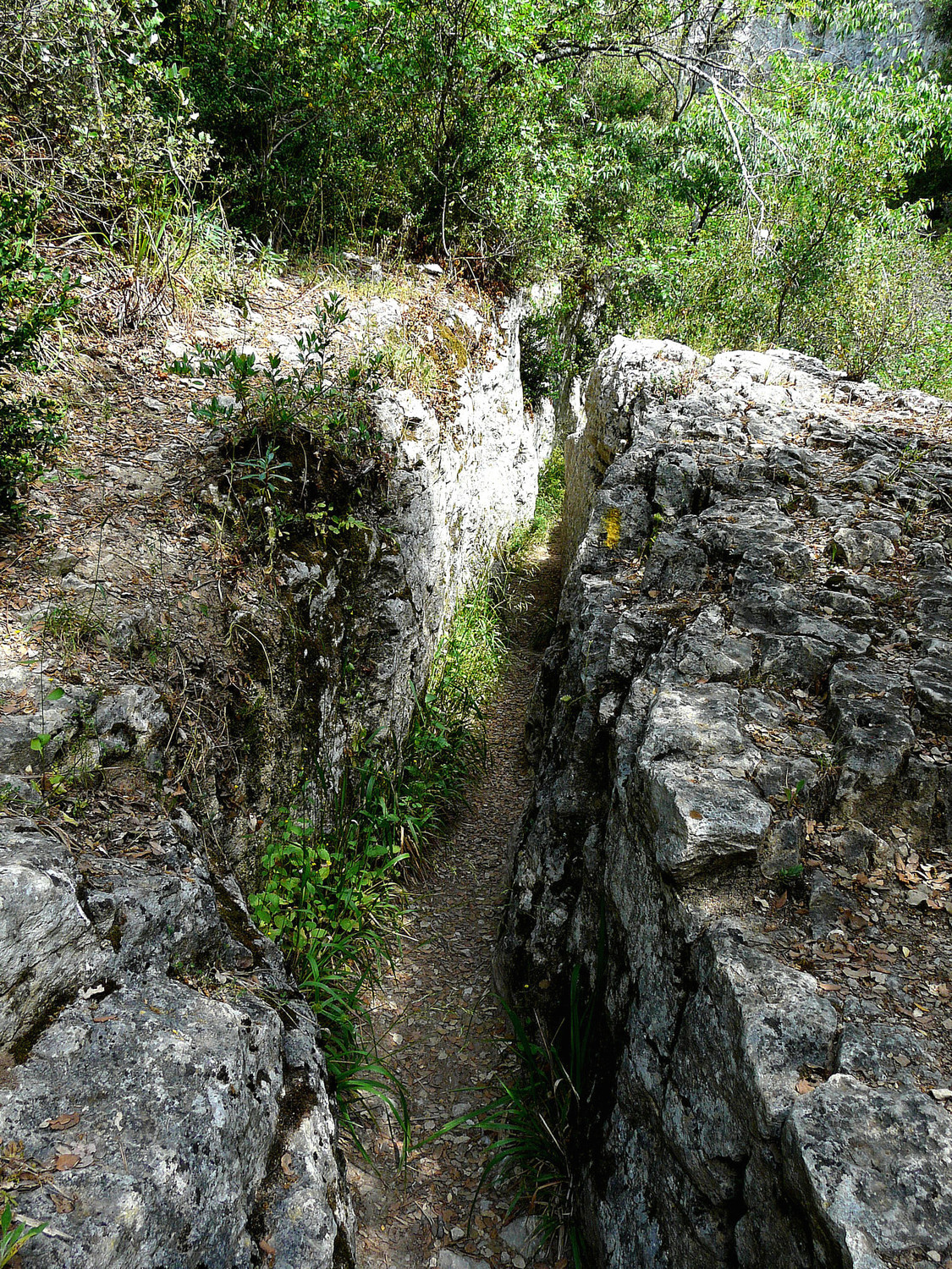 Gorges de la Véroncle - Chemin bien "canalisé" au départ