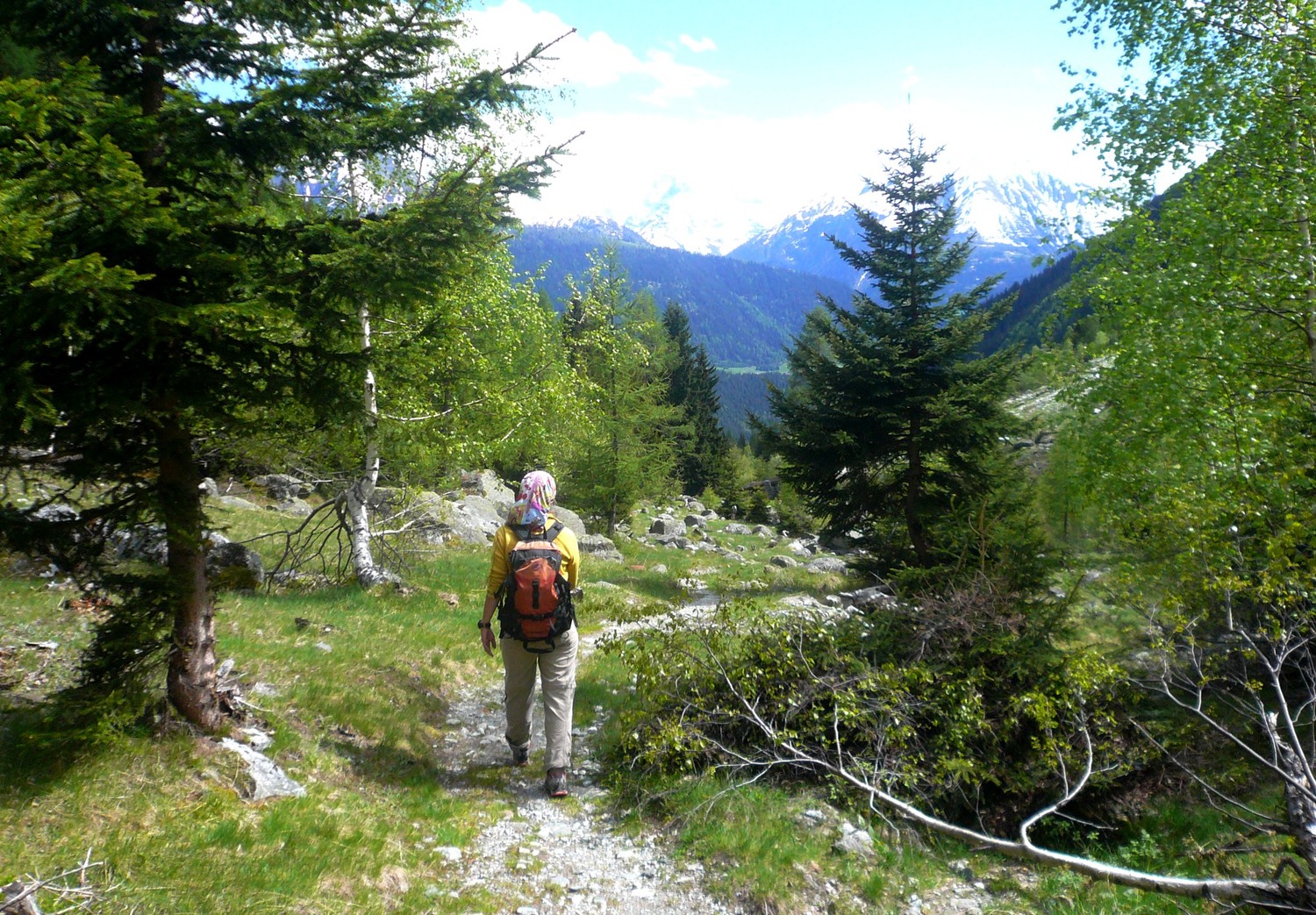 L'idyllique Fieschertal