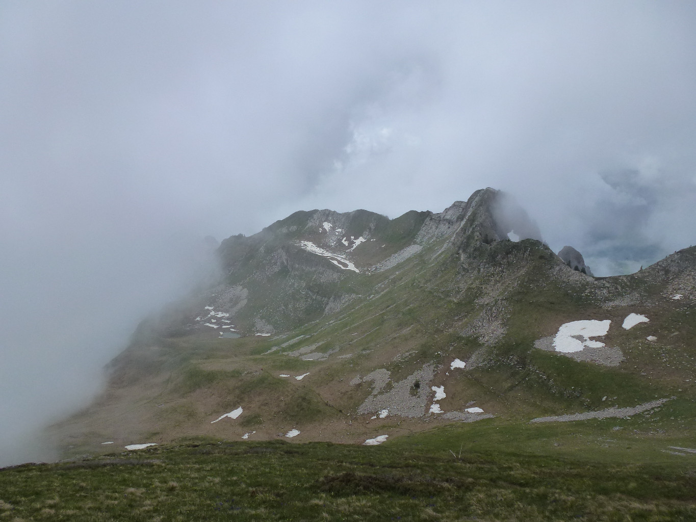 Il ferait presque beau