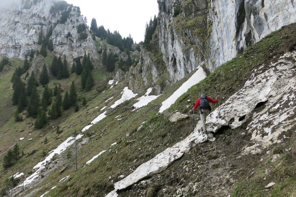 vers le col du Freu