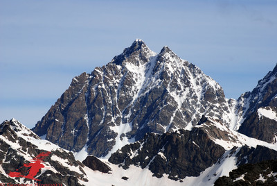 Il Pizzo Roseg 3937m dal ghiacciaio dello Scalino Il Pizzo Roseg 3937m dal ghiacciaio dello Scalino