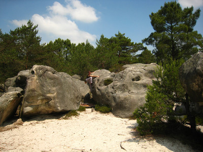 Fontainebleau > 3 Pignons > Rocher des Potêts > Thom dans le n°8 (?) du circuit jaune Fontainebleau > 3 Pignons > Rocher des Potêts > Thom dans le n°8 (?) du circuit jaune