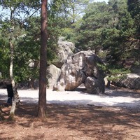 Bloc caractéristique de l'Eléphant, dans le secteur de Larchant du même nom.