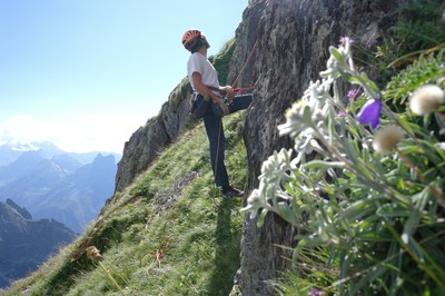 Pied des voies Pied des voies
