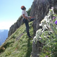 Pied des voies