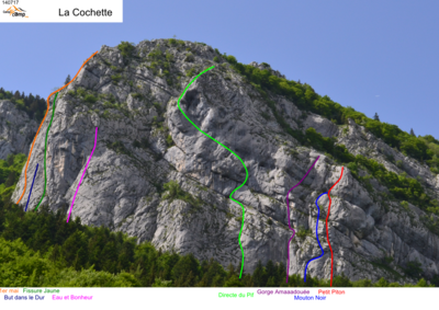 Cochette Cochette
