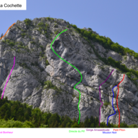 Cochette