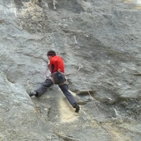 Boris dans Vivalto