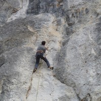 Piesche dans Dulsão