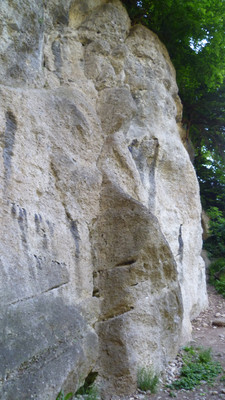 Les pilier des fourmis Les pilier des fourmis