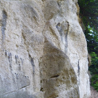 Les pilier des fourmis