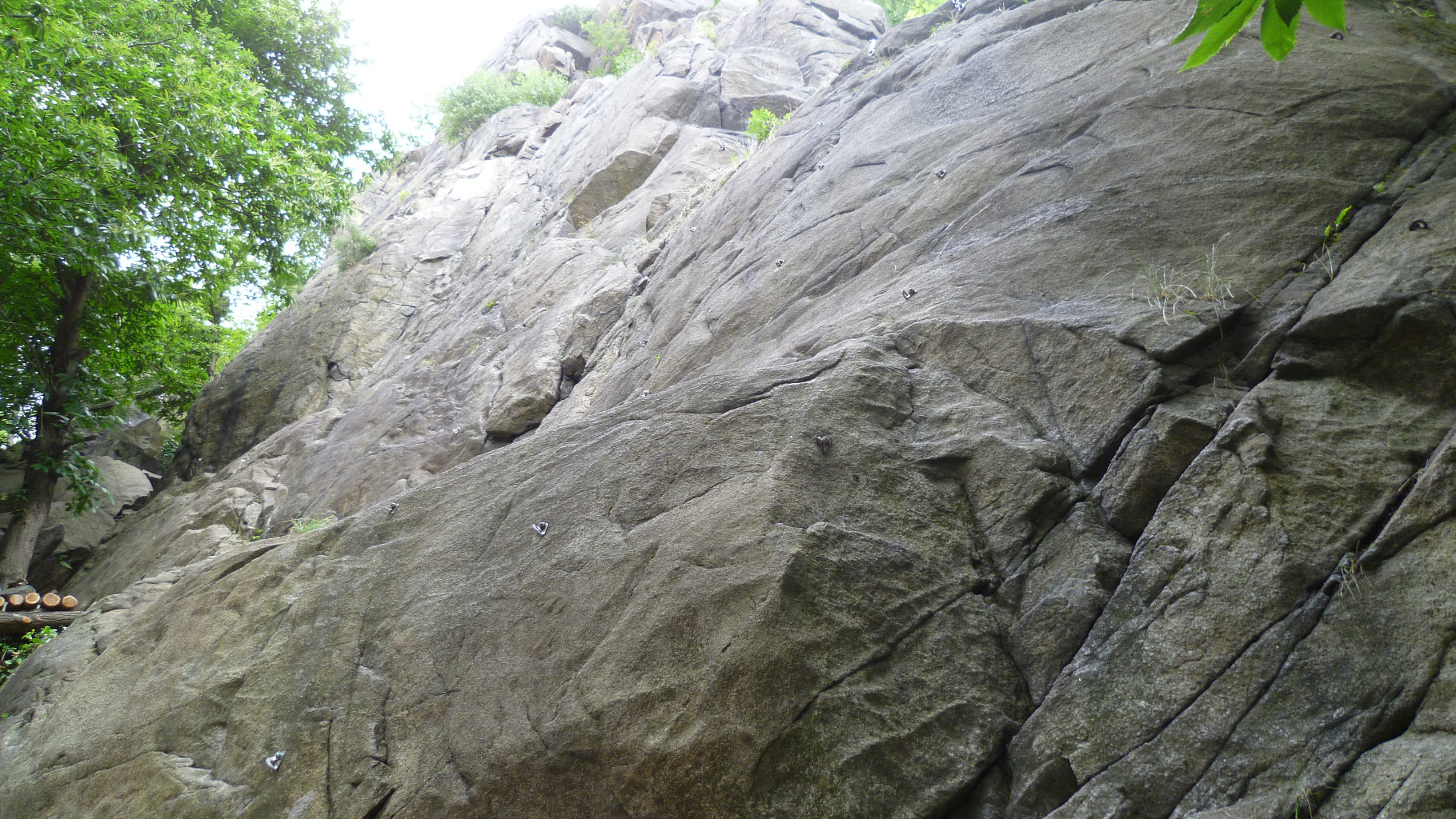 Secteur Pipounette