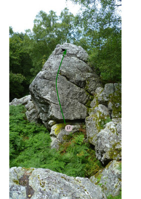Bloc n°17 vert Bloc n°17 vert