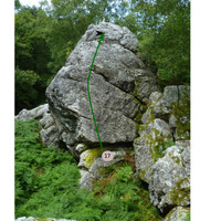Bloc n°17 vert