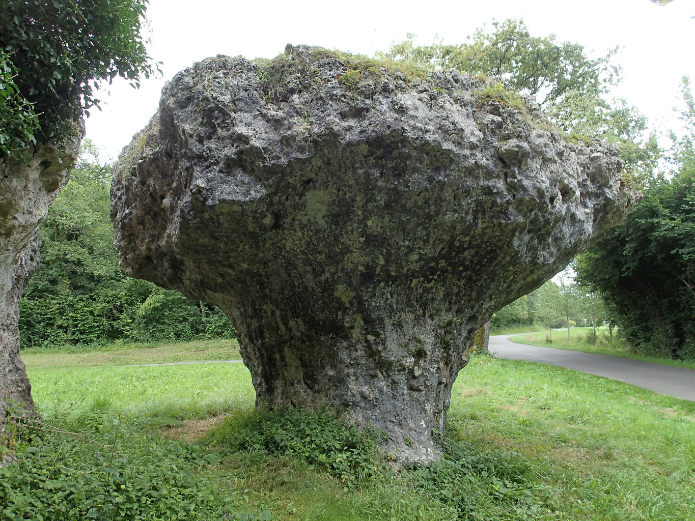 Le Champignon